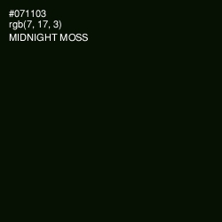 #071103 - Midnight Moss Color Image